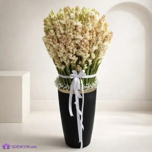 خرید گلدان 200 شاخه مریم