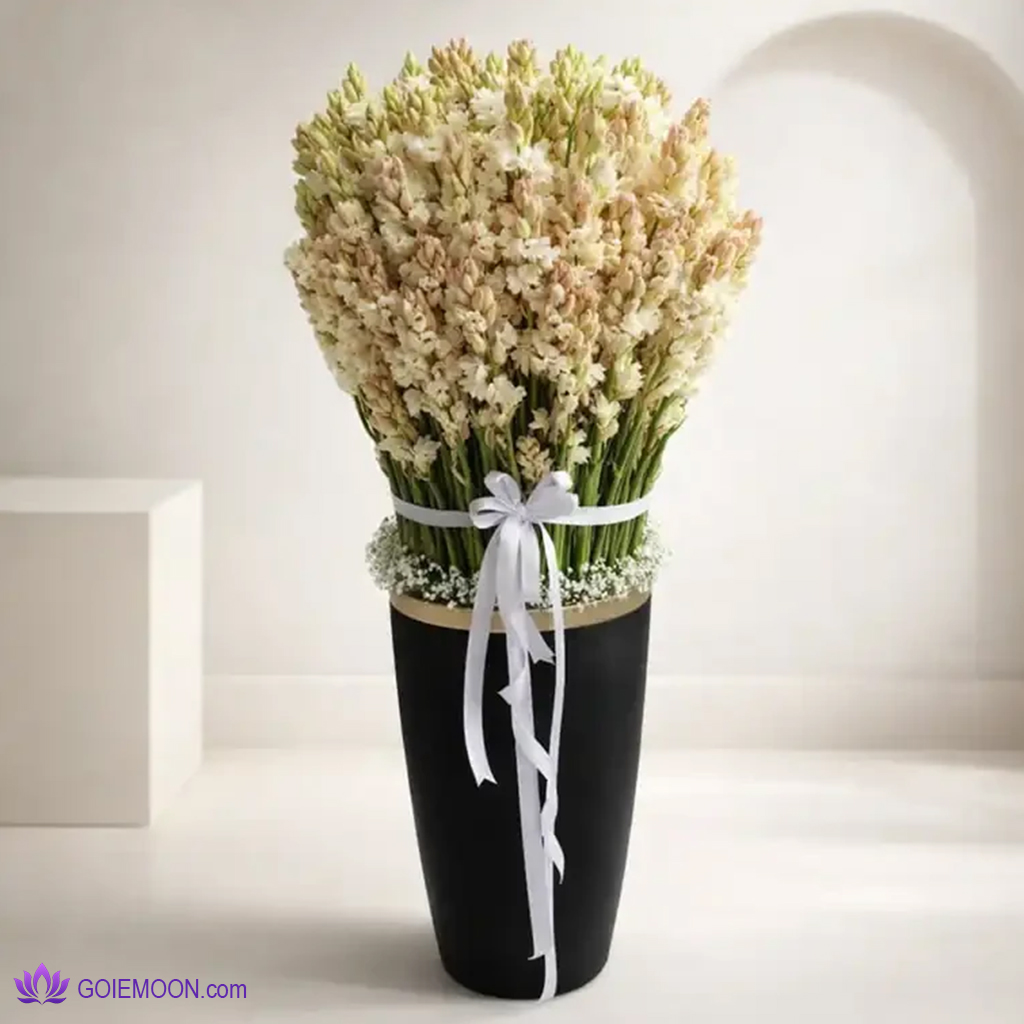 خرید گلدان 200 شاخه مریم خرید گلدان 200 شاخه مریم