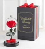 خرید زیبایی مسحور شده توسط گل رز قرمز باشکوه (آمریکا)