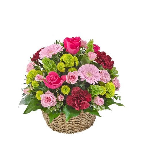 شدن خرید شکوفا شدن (استرالیا)