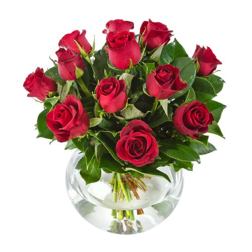 ابدی خرید عشق ابدی (استرالیا)