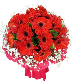 شکرگزاری خرید عشق شکرگزاری (چین)