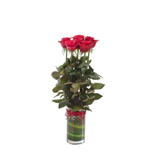 ورزیدن خرید عشق ورزیدن (استرالیا)