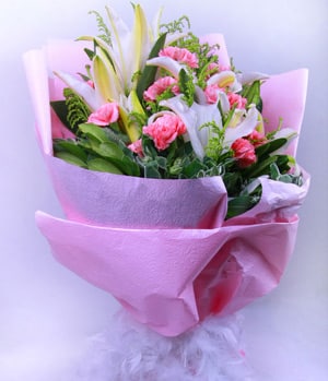 نرم و گرم خرید فصل نرم و گرم (چین)