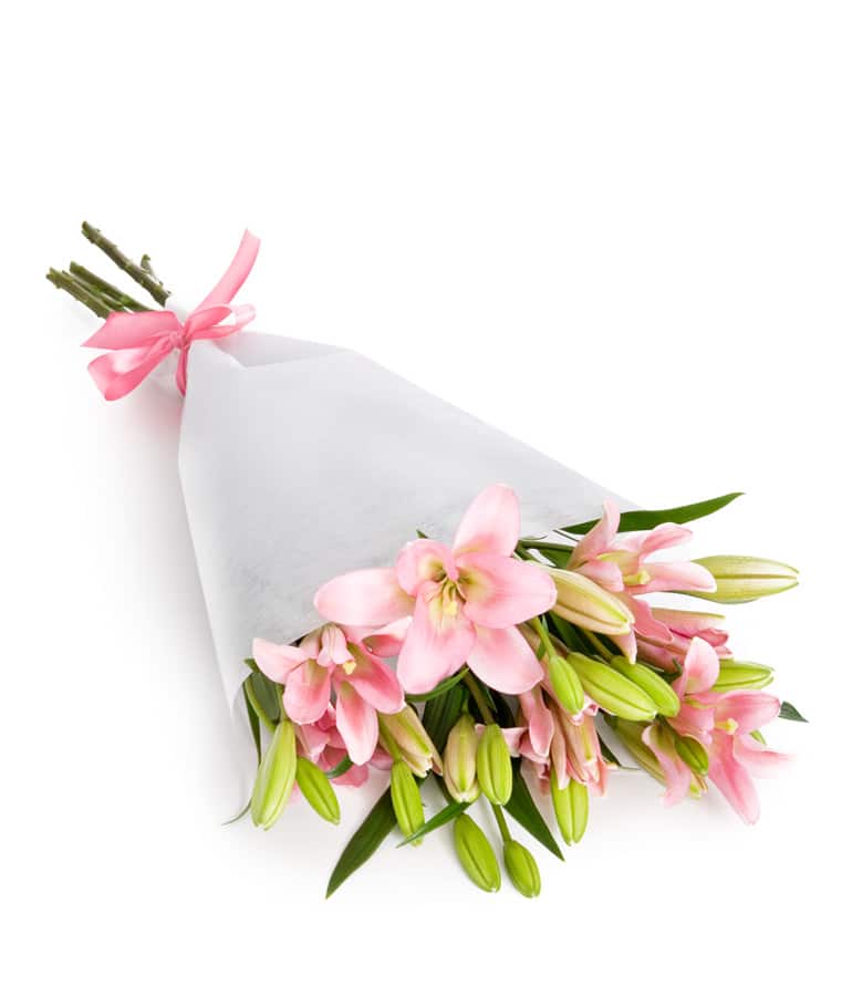 .jpg خرید مگان (استرالیا)