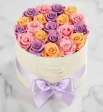 خرید گل رز باشکوه®رز سوربت نگهداری شده (آمریکا)