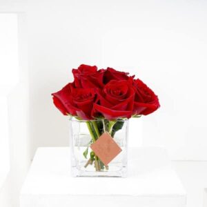 گلدان گل رز قرمز کلاسیک | 10 گل رز