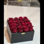 باکس گل باکس آرنیکا