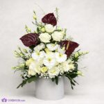 خرید باکس گل مارلین