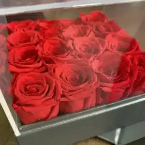 تاریخچه رز جاودان