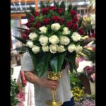 خرید جام گل رز سلوانا