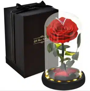 Permanence of eternal rose