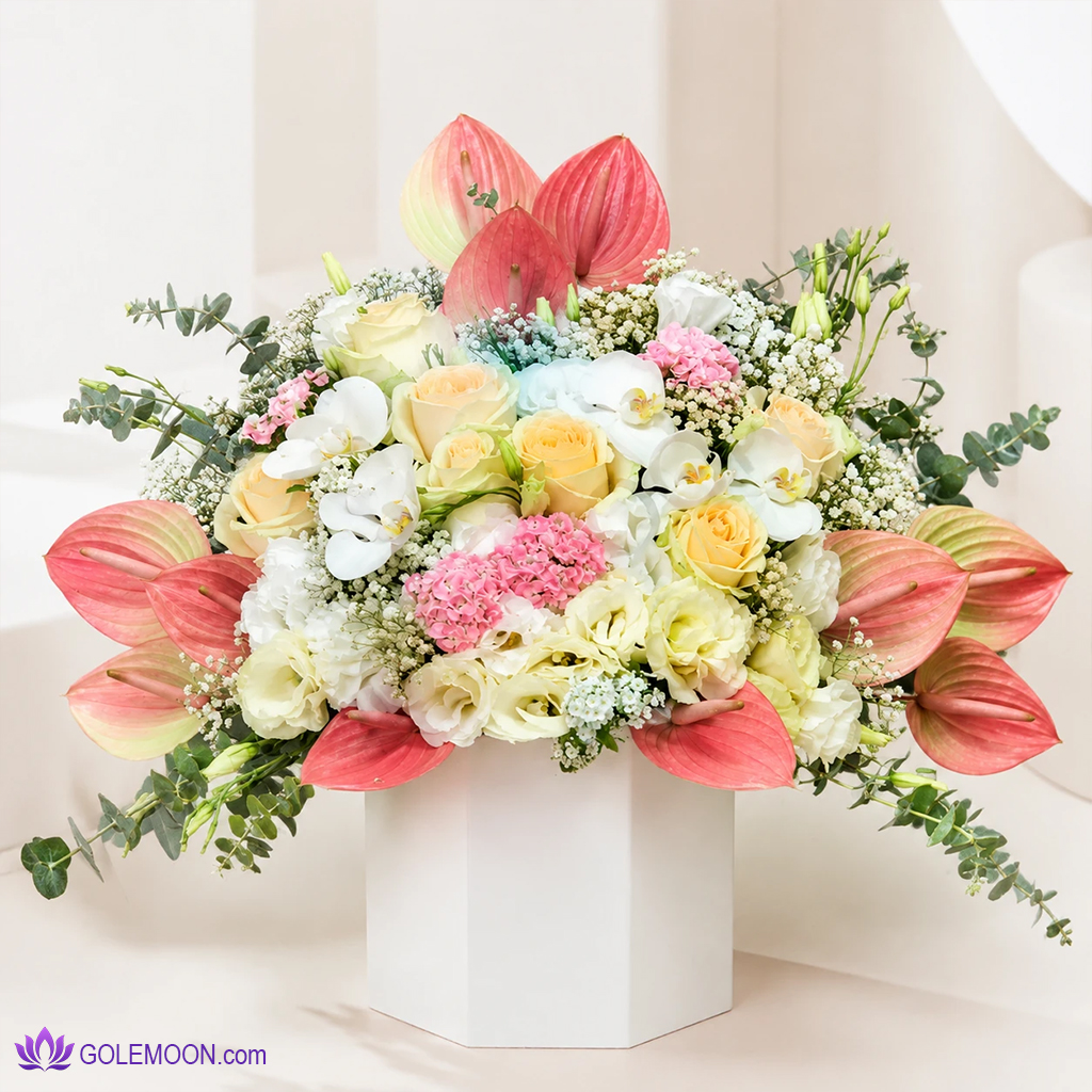 خرید باکس گل آنا خرید باکس گل آنا