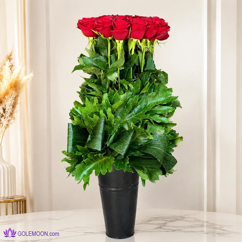 خرید باکس گل رز آناتای خرید باکس گل رز آناتای