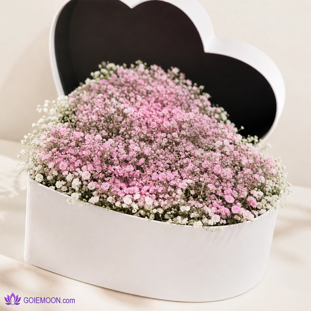 خرید باکس گل قلب ژیپسوفیلیا باکس گل قلب ژیپسوفیلیا