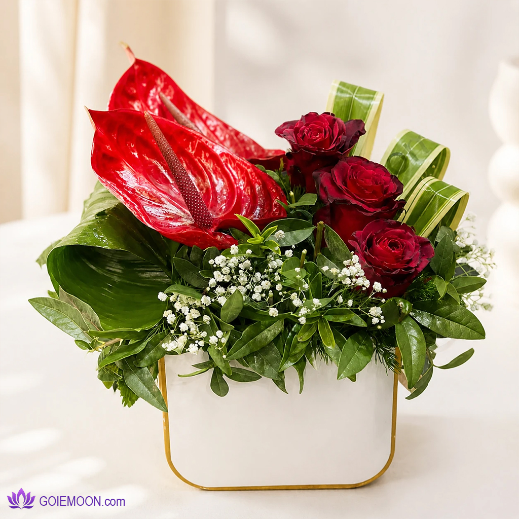 خرید باکس گل نوژا خرید باکس گل نوژا