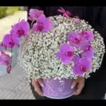 خرید باکس گل رها