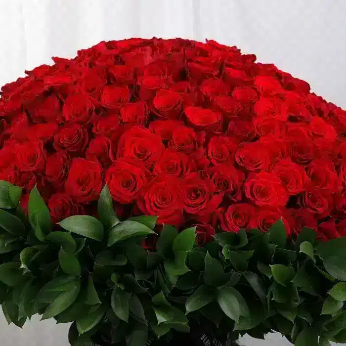 معنی تعداد گل های رز قرمز برای ولنتاین چیست؟