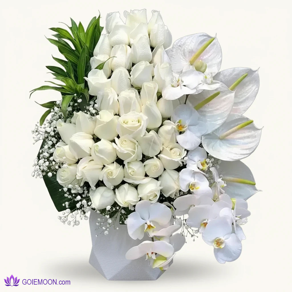 خرید باکس گل آراگل خرید باکس گل آراگل