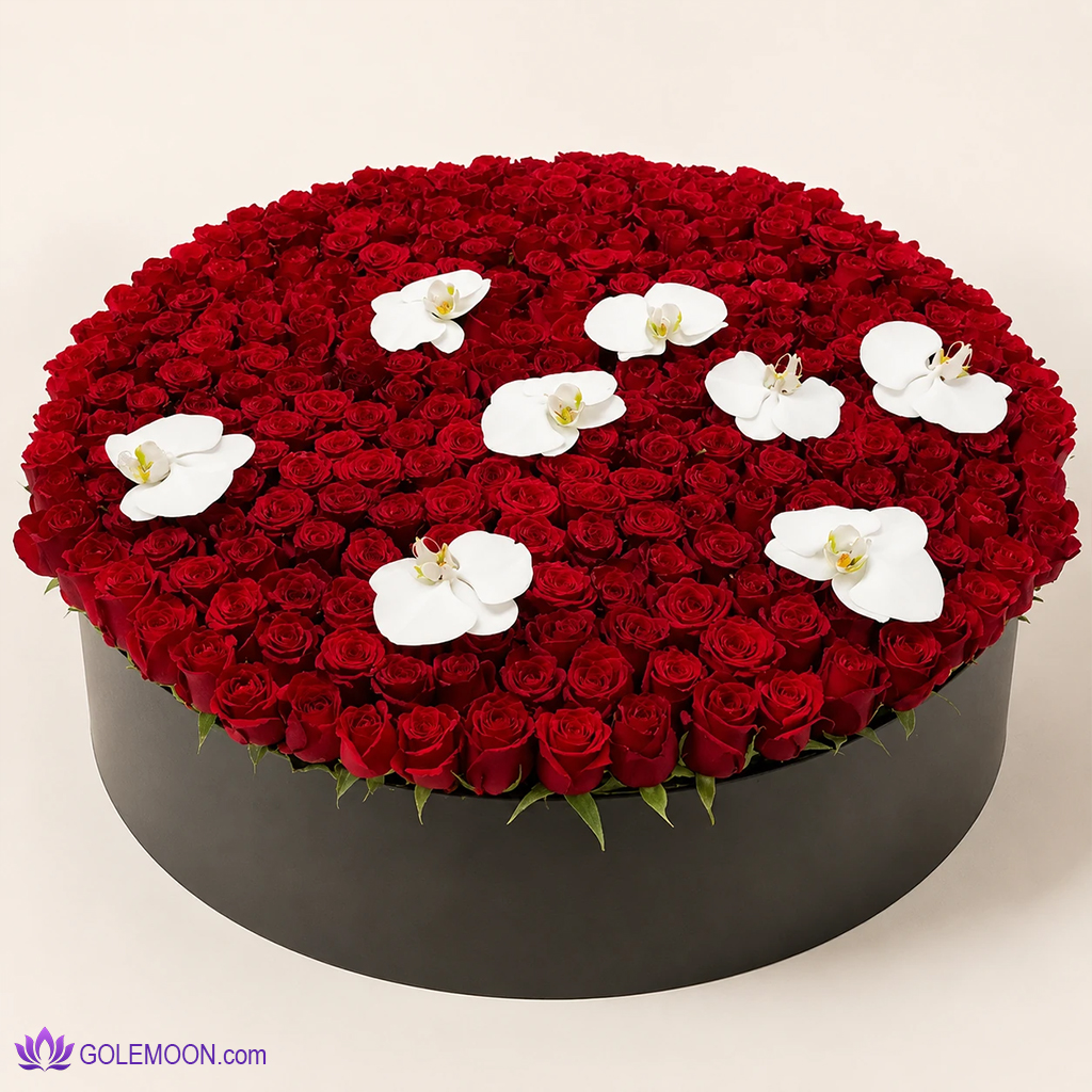 خرید باکس گل لامیا خرید باکس گل لامیا