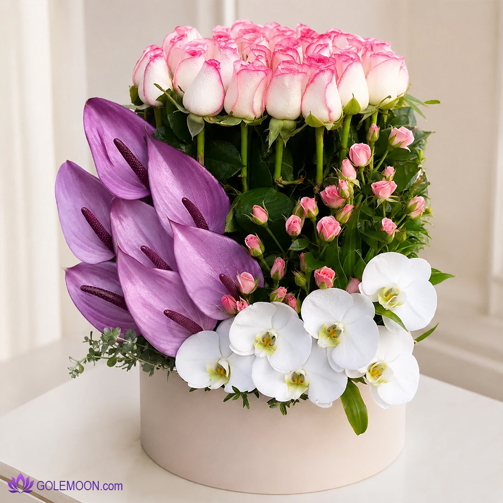 خرید باکس گل ماریا خرید باکس گل ماریا