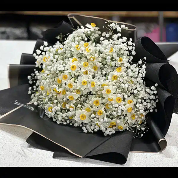 گل ژیپسوفیلیا سفید