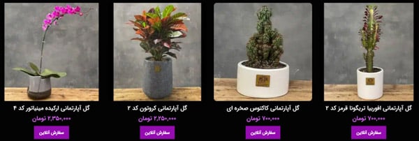 خرید گل آپاراتمانی در کرمان