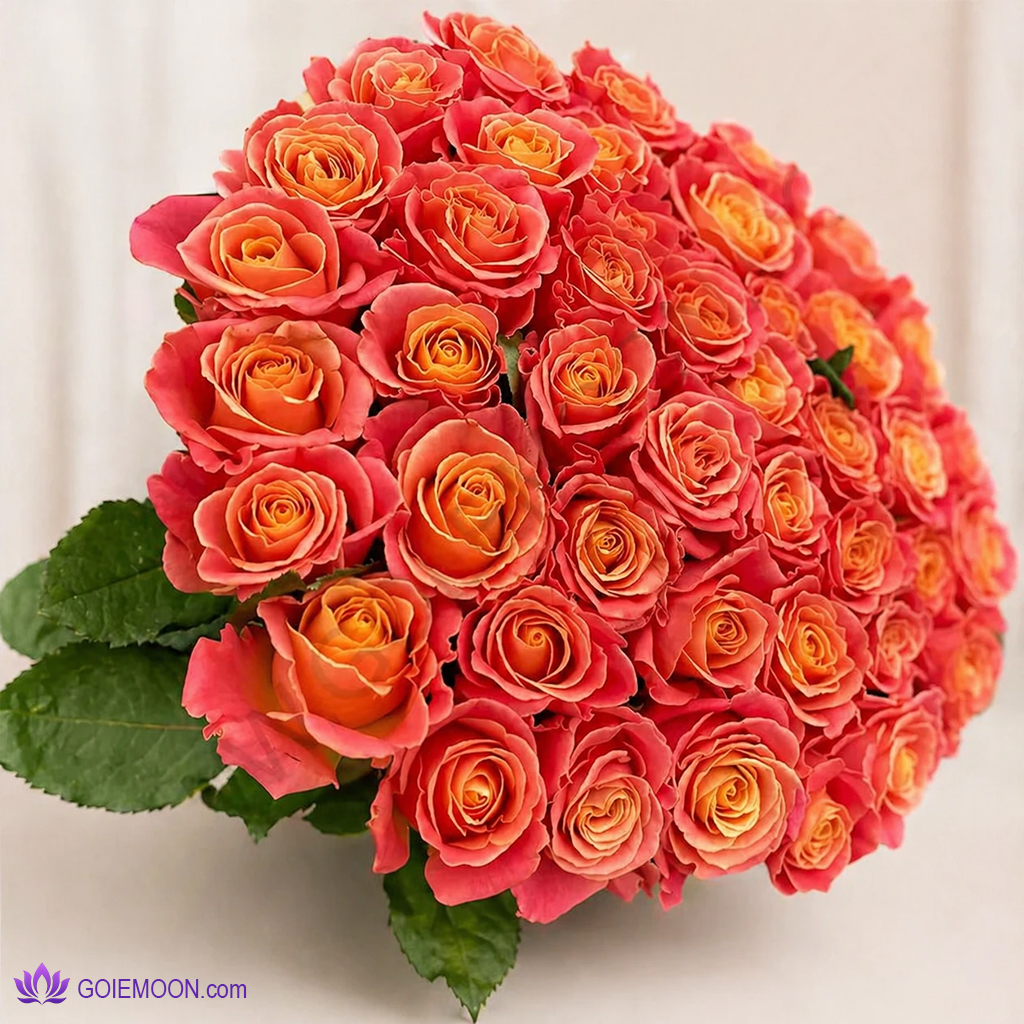 خرید دسته گل بریا خرید دسته گل بریا