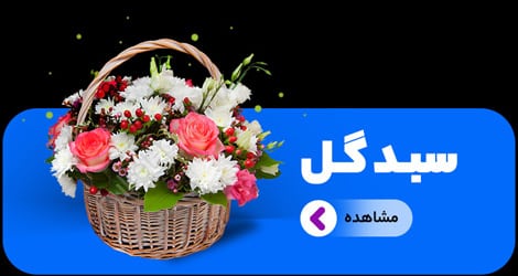 خرید سبد گل خرید سبد گل