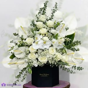 خرید باکس گل کوشانه