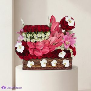 خرید سبد گل پریمولا