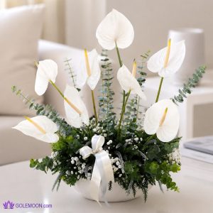 خرید باکس گل ماری