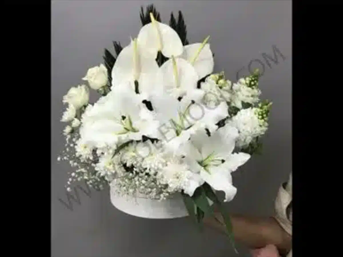 تفاوت لیلیوم و اورینتال در یک نگاه