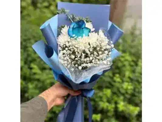 نگاه علمی و روانشناسی به گیاهانی که انرژی مثبت دارند