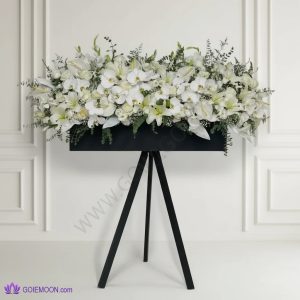 خرید باکس گل یوهانا