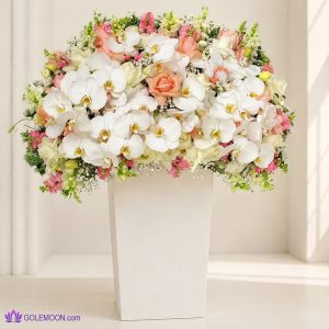 خرید باکس گل گلرخ