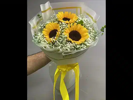راهنمای انتخاب هوشمندانه گل آفتابگردان