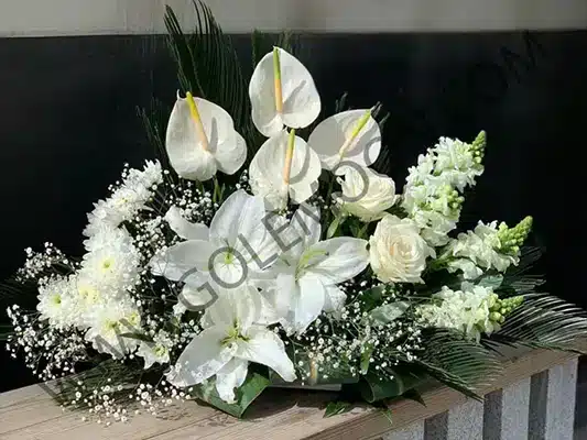 آشنایی با گل آنتوریوم