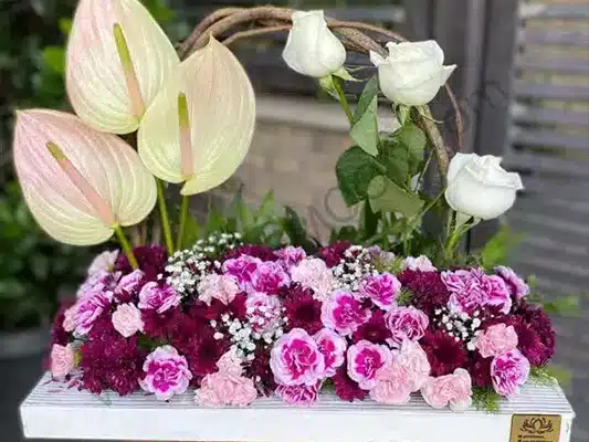 شناخت عمیق گل داوودی؛ از تاریخ تا نماد