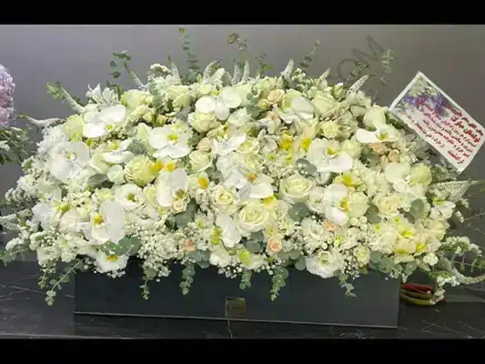 هر رنگ یک پیام؛ راهنمای کامل رنگهای گل میخک