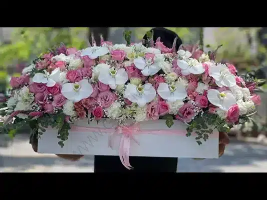 راهنمای خرید گل میخک
