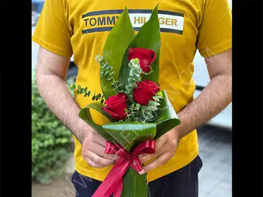 دنیای شگفتانگیز گل رز - 1