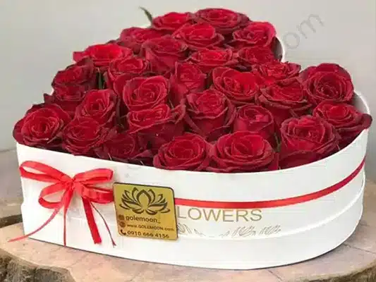 فراتر از رز؛ باغی از انتخابهای دیگر - 1