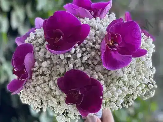 راهنمای قیمت دسته گل عروس