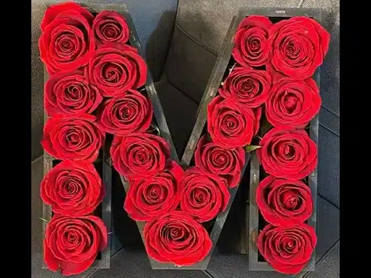 راهنمای مراقبت و نگهداری از باکس گل