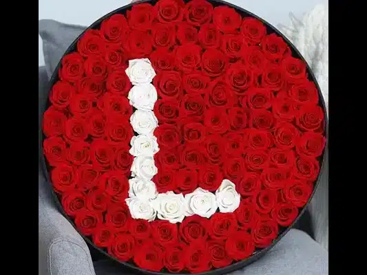 محبوبترین حروف و اعداد: از A تا Z و 0 تا 9