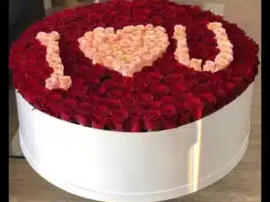 چرا گلمون؟