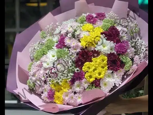 نگهداری و نکات تکمیلی دسته گل داوودی