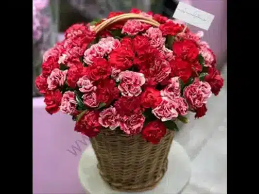 راهنمای جامع انتخاب سبد گل برای مناسبتهای مختلف