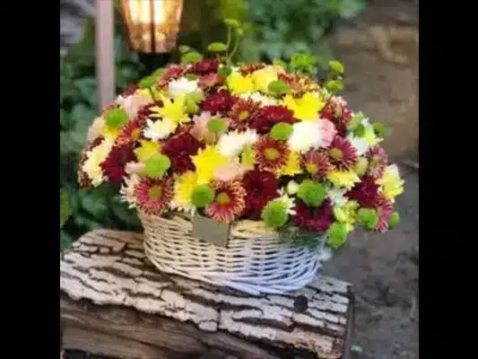 انواع مدل، سبک و گلآرایی در سبد گل